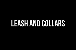 Leash and Collars collection banner