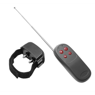 Cock Shock - Electro Stimulation Cockring with Remote Control