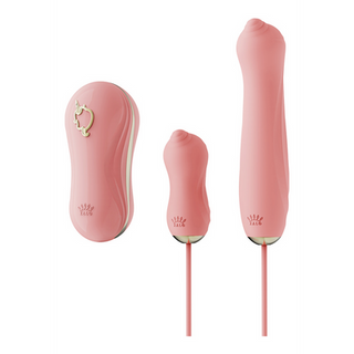 Sucking Vibrator with Pump and Different Attachments