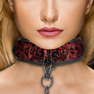 Collar with Leash