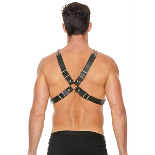 Chain and Chain Harness