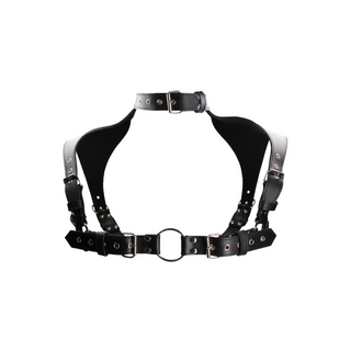 Men's Harness with Collar - One Size