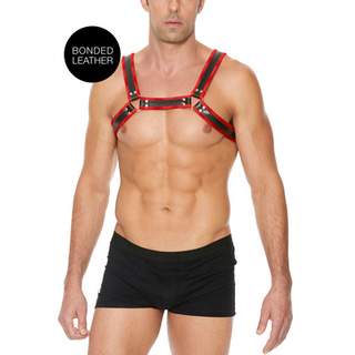 Leather Bulldog Harness with Buckles - L/XL