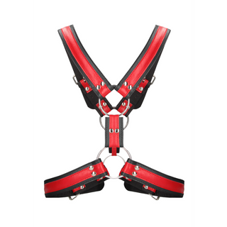 Scottish Leather Harness - L/XL